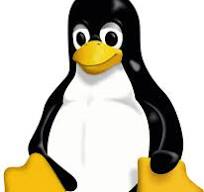 linux命令